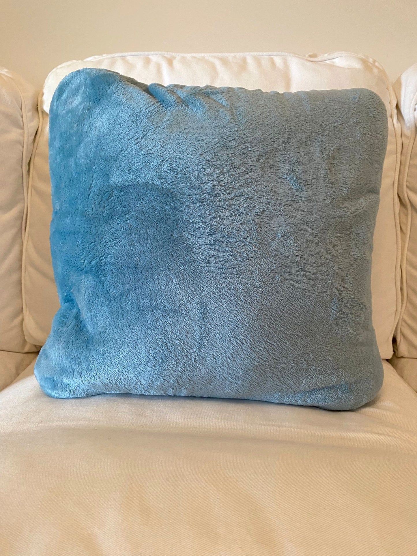 Light Blue Cushy Rug