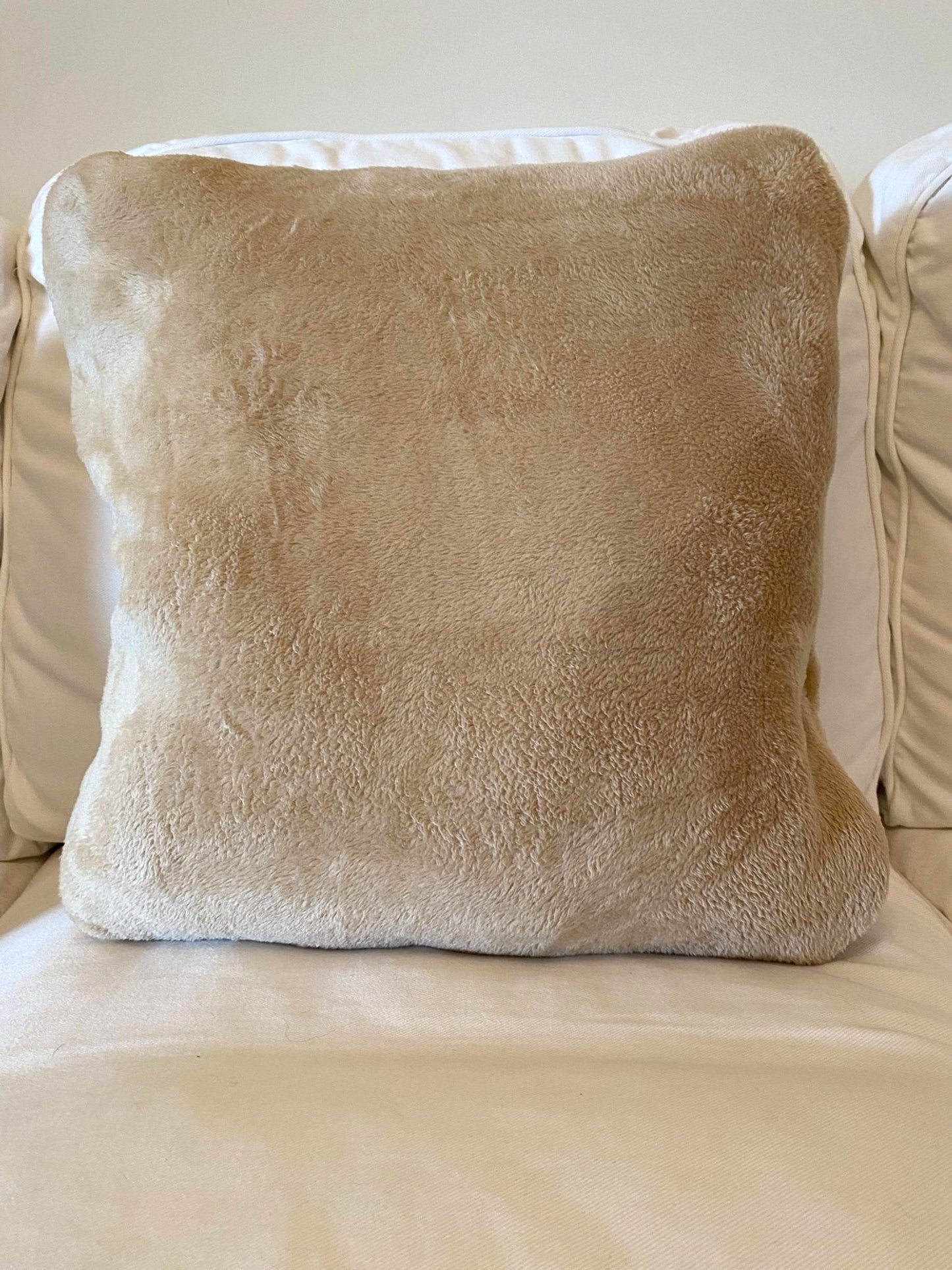 Beige Cushy Rug