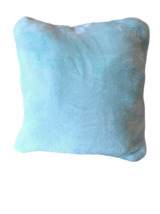 Turquoise Cushy Rug