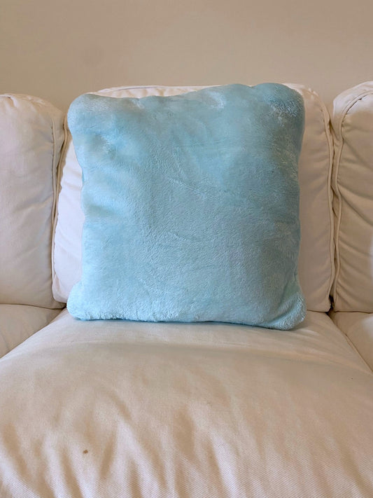 Turquoise Cushy Rug