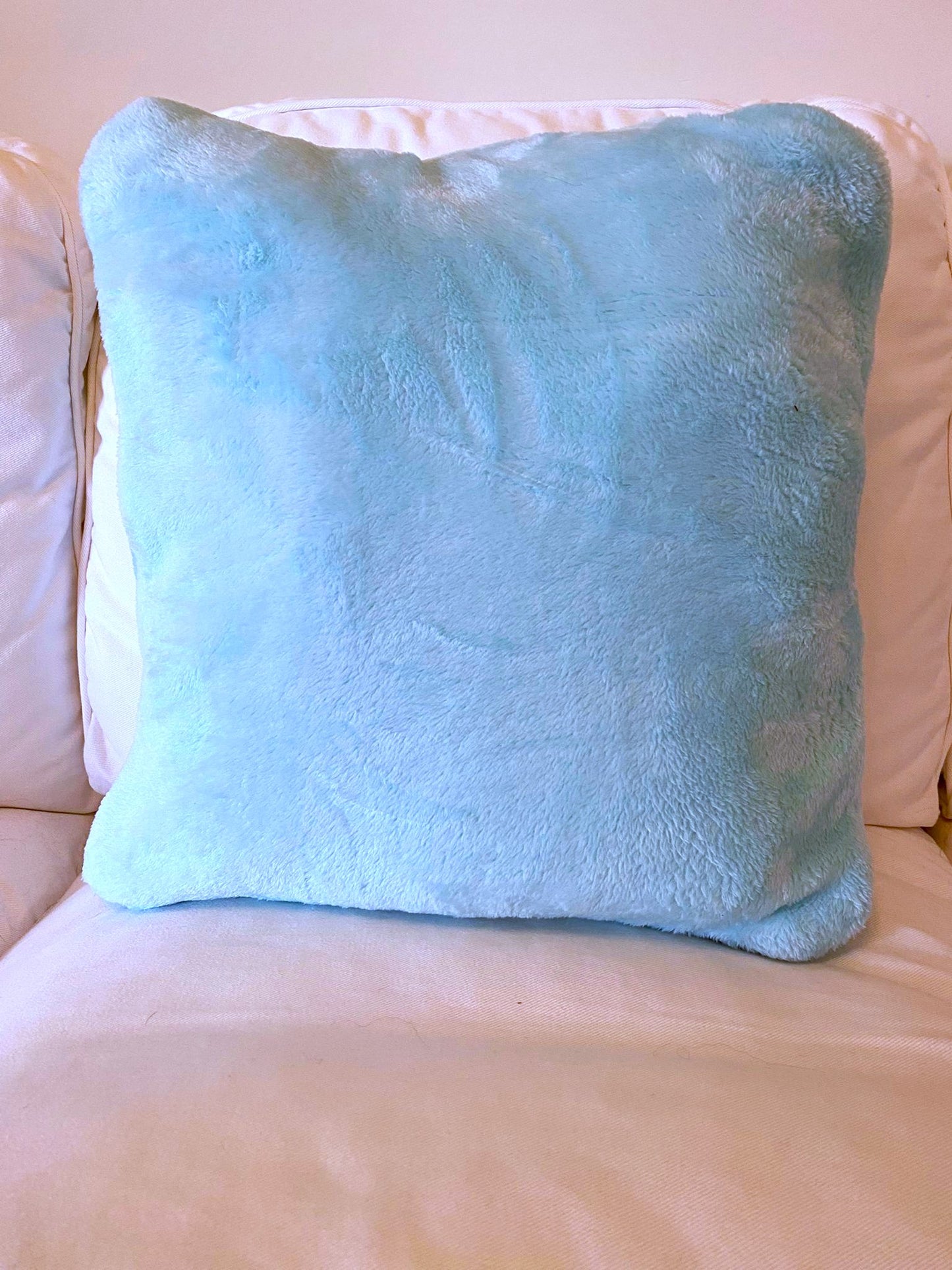 Turquoise Cushy Rug